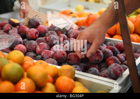 Ripe red plums for sale at a Spanish market, San Pedro Del Pinatar Stock Photo