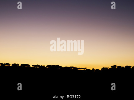 Dusk falls over a silhouetted landscape of cork oak and olive trees in southern Portugal's Alentejo province Stock Photo