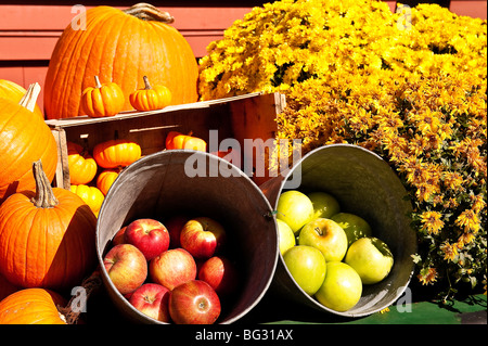 Colorful autumn display of flowers and fruit. Stock Photo