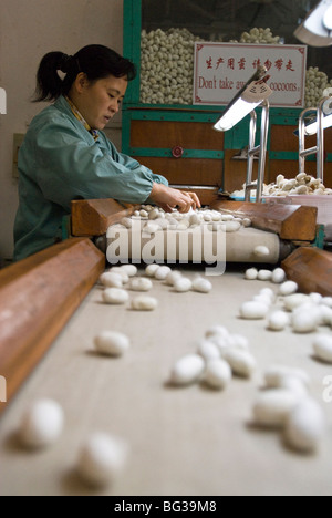 Suzhou No. 1 Silk Factory, Suzhou, Jiangsu province, China, Asia Stock Photo