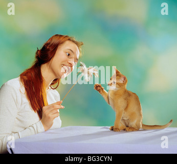 young woman - playing with an Abyssinian cat Stock Photo