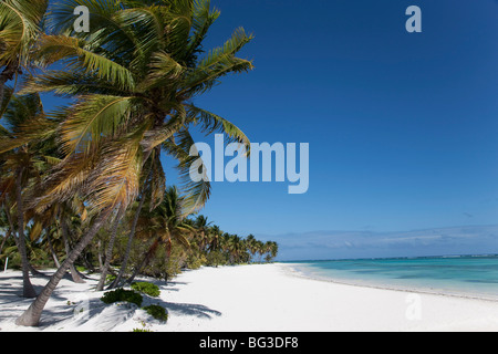 Punta Cana, Dominican Republic, West Indies, Caribbean, Central America Stock Photo