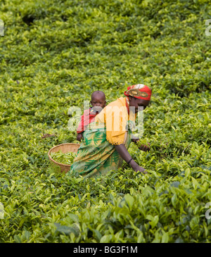 Village of Masango, Province of Cibitoke, Burundi, Africa Stock Photo