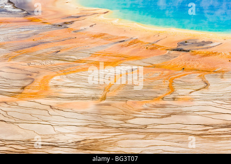 A detail view of the Grand Prismatic Springs bacterial mats in Yellowstone National Park, Wyoming, USA. Stock Photo