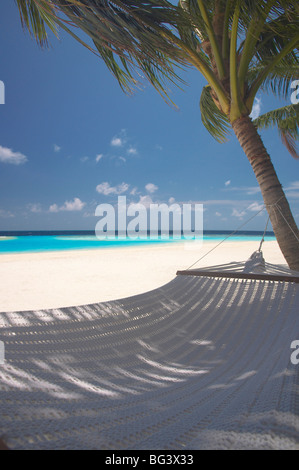 Hammock on beach, Maldives, Indian Ocean, Asia Stock Photo