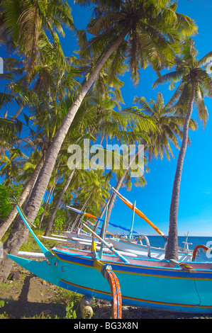 Traditional Indonesian fishing boats at the beach, North coast, Bali, Indonesia, Southeast Asia, Asia Stock Photo