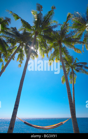Hammock between palm trees on beach, Bali, Indonesia, Southeast Asia, Asia
