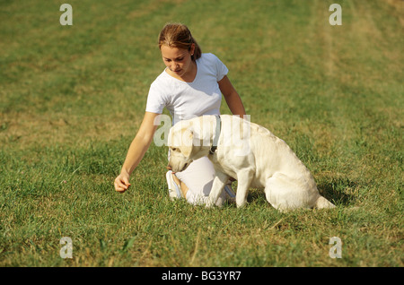 woman and Labrador Retriever dog on meadow - dog education: Sit down ! Stock Photo