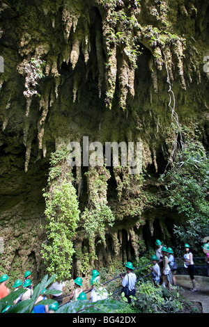 Puerto Rico, Central Mountains, Parque de las Cavernas del Rio Camuy, Cueva Catedral (Cathedral Cave) Stock Photo