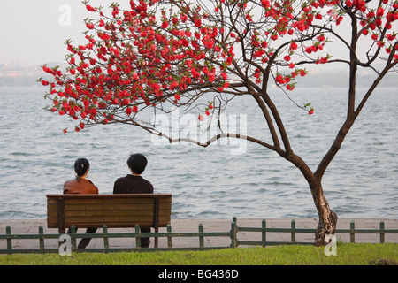 Chinese couple sitting under tree in blossom along Xi Hu (West Lake) at dusk, Hangzhou, Zhejiang, China, Asia Stock Photo