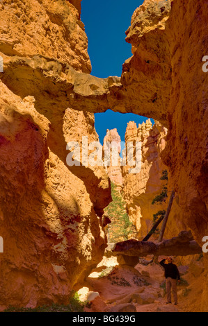 USA, Utah, Bryce Canyon National Park, Navajo Loop Trail Stock Photo