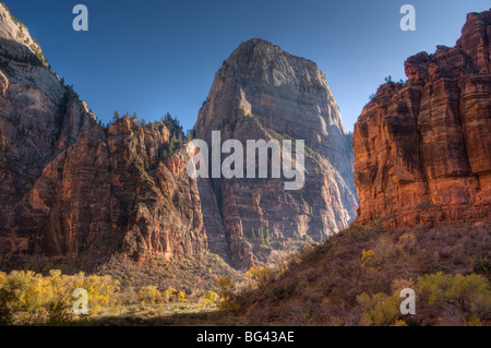 USA, Utah, Zion National Park, The Great White Throne Stock Photo