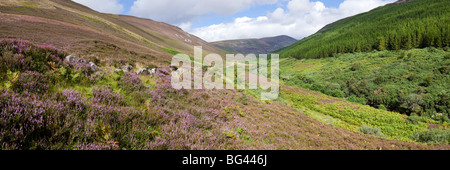 A panoramic view of Glen Loth, north of Brora, Highland, Scotland Stock Photo