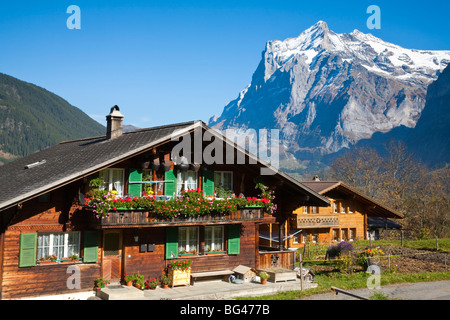 Traditional Houses, Wetterhorn & Grindelwald, Berner Oberland, Switzerland Stock Photo