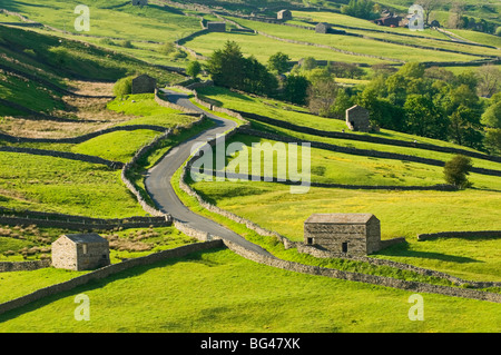 View of traditional stone barns and walls near Thwaite in Swaledale, Yorkshire, England, United Kingdom, Europe