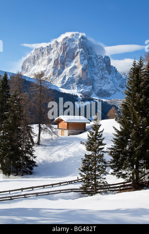 Hut in front of Sassolungo mountain (3181m), Val Gardena, Dolomites, South Tirol, Trentino Alto-Adige, Italy Stock Photo