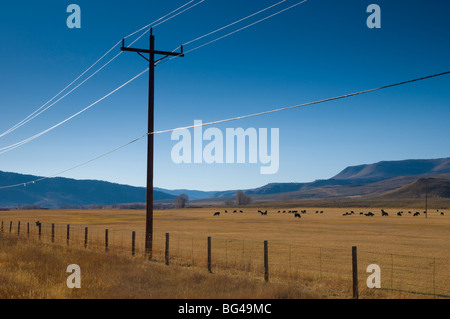 USA, Colorado, near Granby, farmland Stock Photo