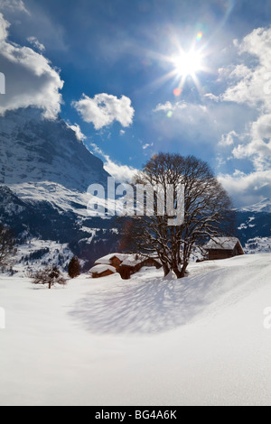 Winter landscape, Grindelwald, Jungfrau region, Bernese Oberland, Swiss Alps, Switzerland Stock Photo