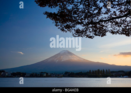Japan, Honshu Island, Kawaguchi Ko Lake, Mt. Fuji and Maple Trees Stock Photo
