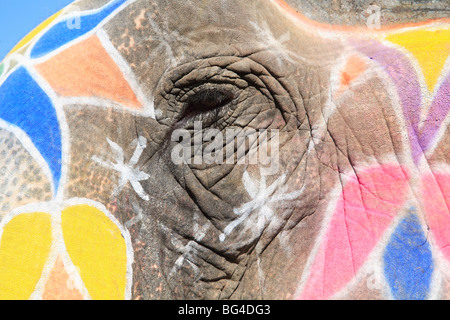 Painted elephant, Amber Fort Palace, Jaipur Rajasthan, India, Asia Stock Photo