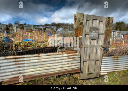 Allotments in Barrow-in-Furness, Cumbria Stock Photo