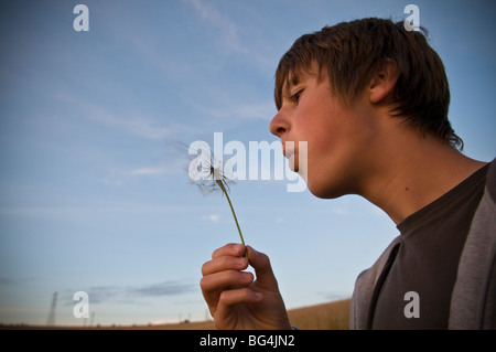 Boy blowing seeds from a dandelion clock Stock Photo