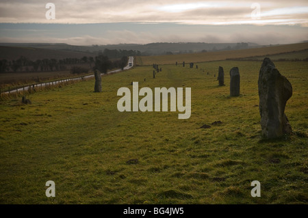 The Avenue of Sarsen standing stones leading from Avebury Neolithic stone circle in Wiltshire, UK Stock Photo