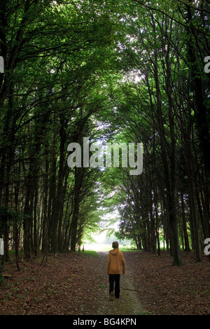 Young boy walking through a tree-lined path through woodland in Dorset, UK Stock Photo