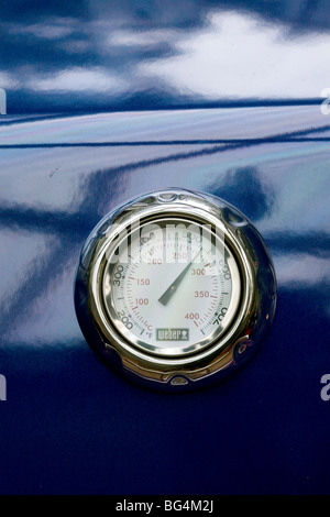 weber go anywhere temperature gauge