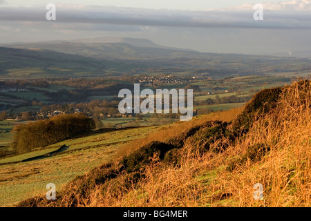 Morning sunshine on Embsay Moor, North Yorkshire, with a view in the distance of Pendle Hill Stock Photo