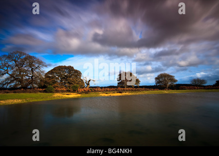 Clearing storm over a pond near Mogshade Hill in the New Forest National Park, Hampshire, UK Stock Photo