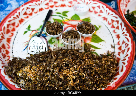 Tasty bugs sold in a Thai market. Stock Photo