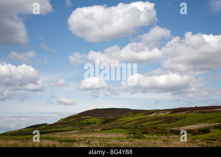 Coastal scene Near Blackwaterfoot, The Isle of Arran, Scotland, June 2009 Stock Photo