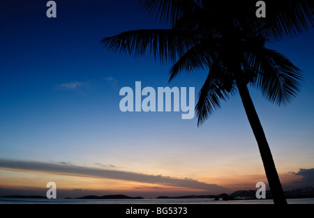 Palm Tree Sunset St John US Virgin Islands | ST JOHN, U.S. Virgin Islands — A single palm tree is silhouetted against a Caribbean sunset near Gallows Point, its fronds framing a sky graduating from deep blue to warm orange above the darkened outlines of neighboring islands, including St. Thomas. The scene reflects the island's setting within the northern Lesser Antilles, part of the U.S. Virgin Islands territory since 1917. Stock Photo