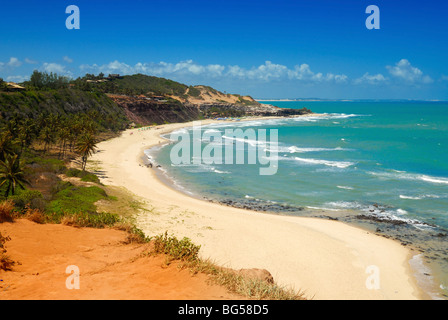 Beautiful beach with palm trees at Praia do Amor near Pipa Brazil Stock Photo