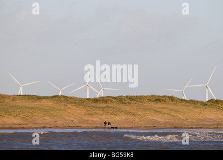 People walking their dogs on a wind swept beach at Tynemouth Longsands ...