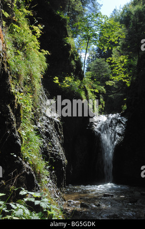 A waterfall in horne diery valley Vratna region in Mala Fatra or small fatra National Park Slovakia Stock Photo
