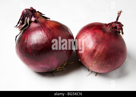 Two Red Onions on a White Background Stock Photo