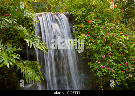 Small waterfalls in Rainbow Springs State Park Florida Stock Photo