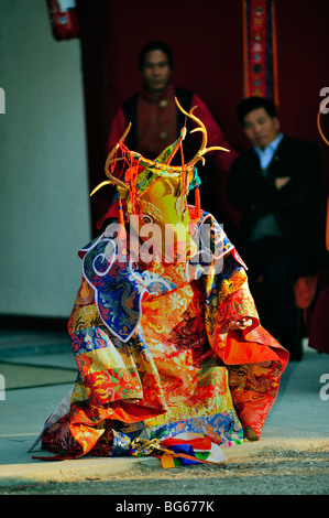 Paris, Fra-nce, Tibetan Monk in Traditional Dress, Performing Ritual Animal Mask Dance, Buddhist Ceremony, Stock Photo