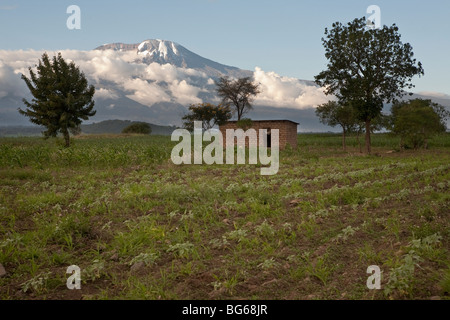 Mount Kilimanjaro's snowcapped peaks rise above farmland in Northern Tanzania. Stock Photo