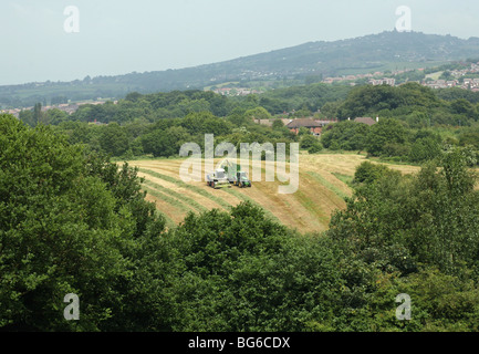 A tractor and a harvester gathering silage in a field with Mow Cop castle folly in the background Stock Photo