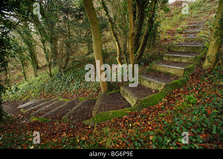 Stone steps. Stock Photo