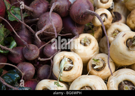Parsnips and beetroots on sale on a market stall. Stock Photo