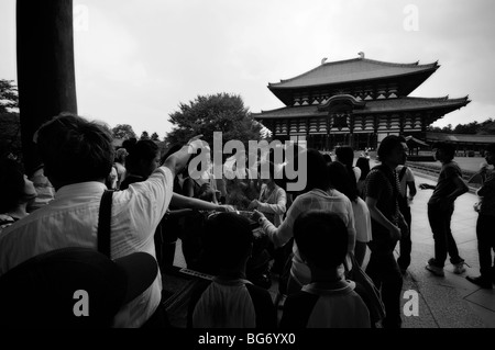 Worshippers in front of Daibutsuden (Great Buddha Hall). Todai-ji Temple. Nara. Japan Stock Photo