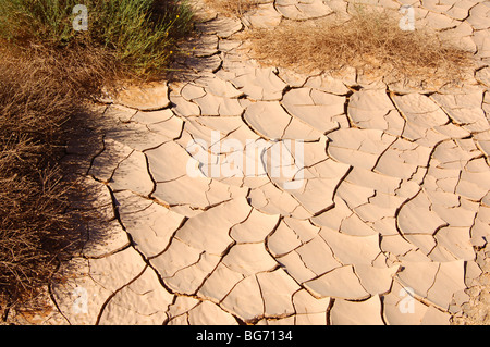 Parched earth on the ground of a wadi, Sahara, Libya Stock Photo