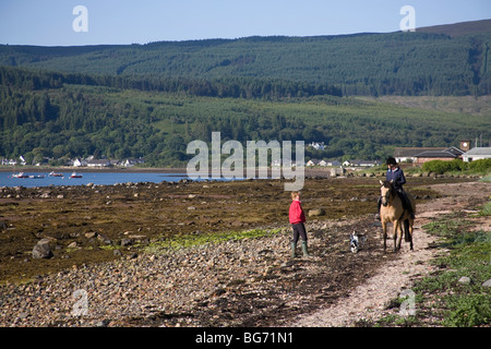 Horse and rider on the beach at Lamlash, The Isle of Arran, Scotland Stock Photo