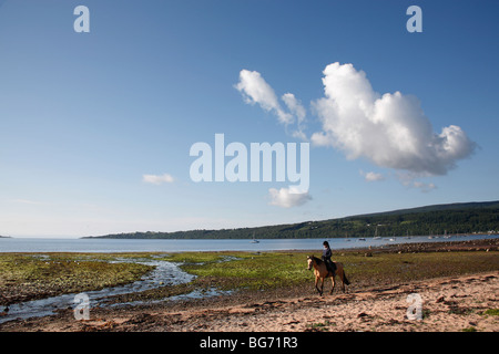 Horse and rider on the beach at Lamlash, The Isle of Arran, Scotland, June 2009 Stock Photo