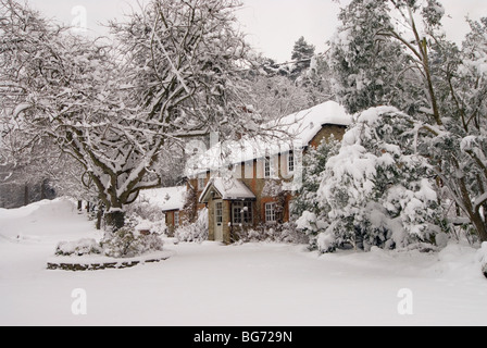 Christmas card image of a snowy landscape scene with a cozy cottage surrounded by bushes and trees in daylight Stock Photo