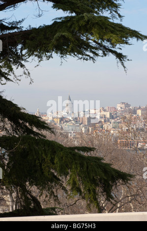 View of the Galata tower from the Topkapi Palace Stock Photo